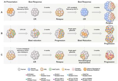 Emergence of BCR–ABL1 Fusion in AML Post–FLT3 Inhibitor-Based Therapy: A Potentially Targetable Mechanism of Resistance – A Case Series